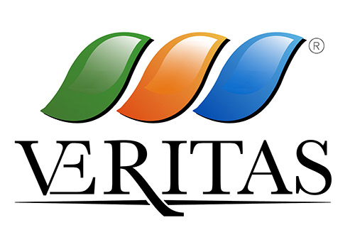 Logo-veritas