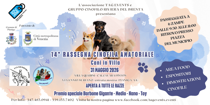 descrizione immagine